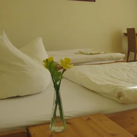 Apartmán Doppelzimmer Gaestehaus Muehlenstein